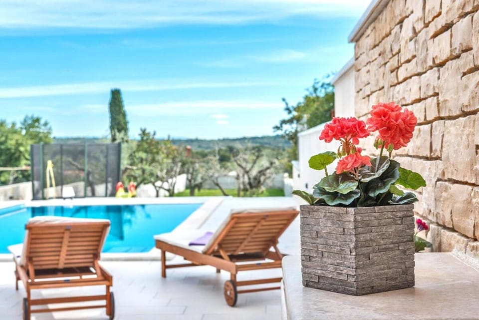 Garden view, Pool view, Swimming pool, sunbed