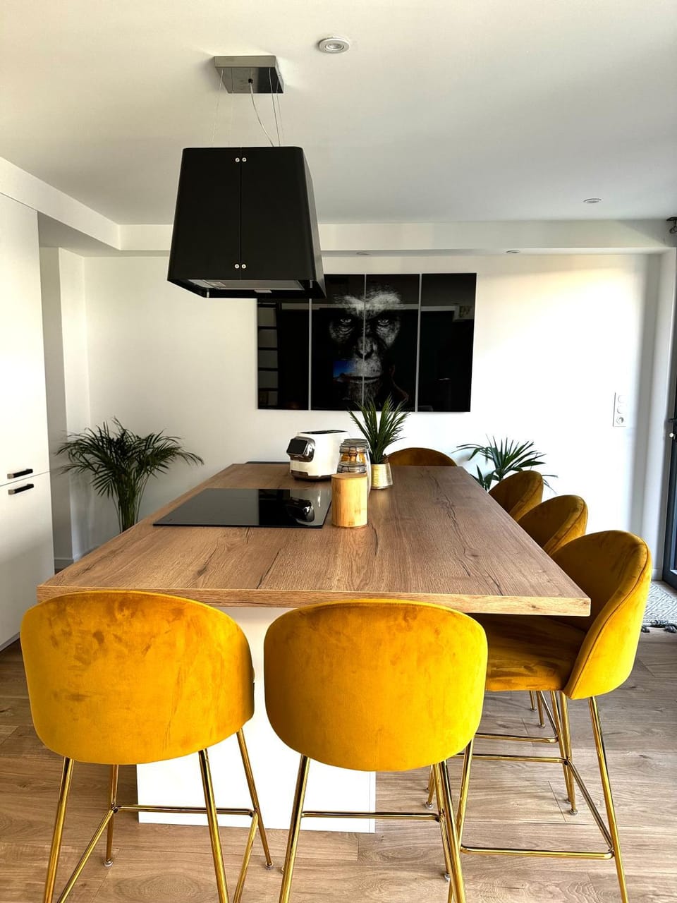 Communal lounge/ TV room, Living room, Seating area, Dining area, kitchen