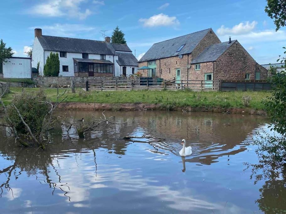 Property building, Lake view