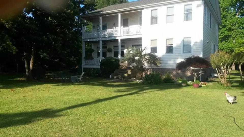 Property building, Natural landscape, Pets