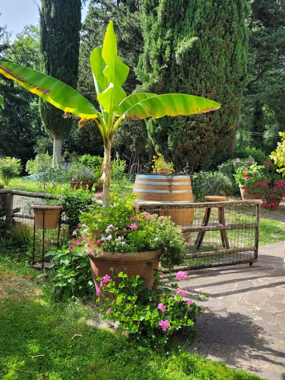 La Casa nel Chianti Apartment in Tuscany