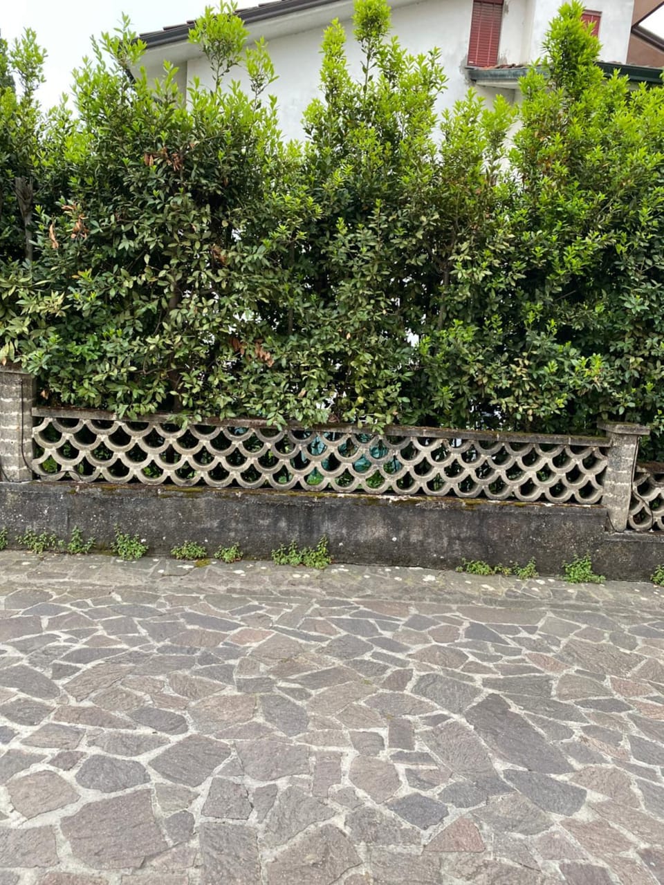 Inner courtyard view