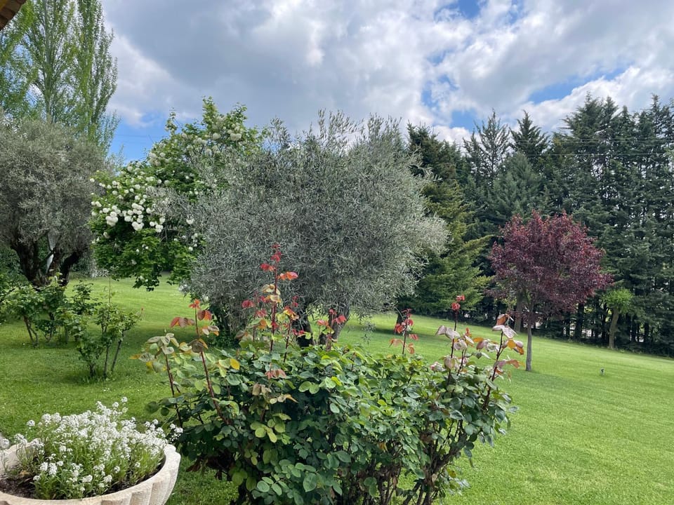 Spring, Natural landscape, Garden, Garden view