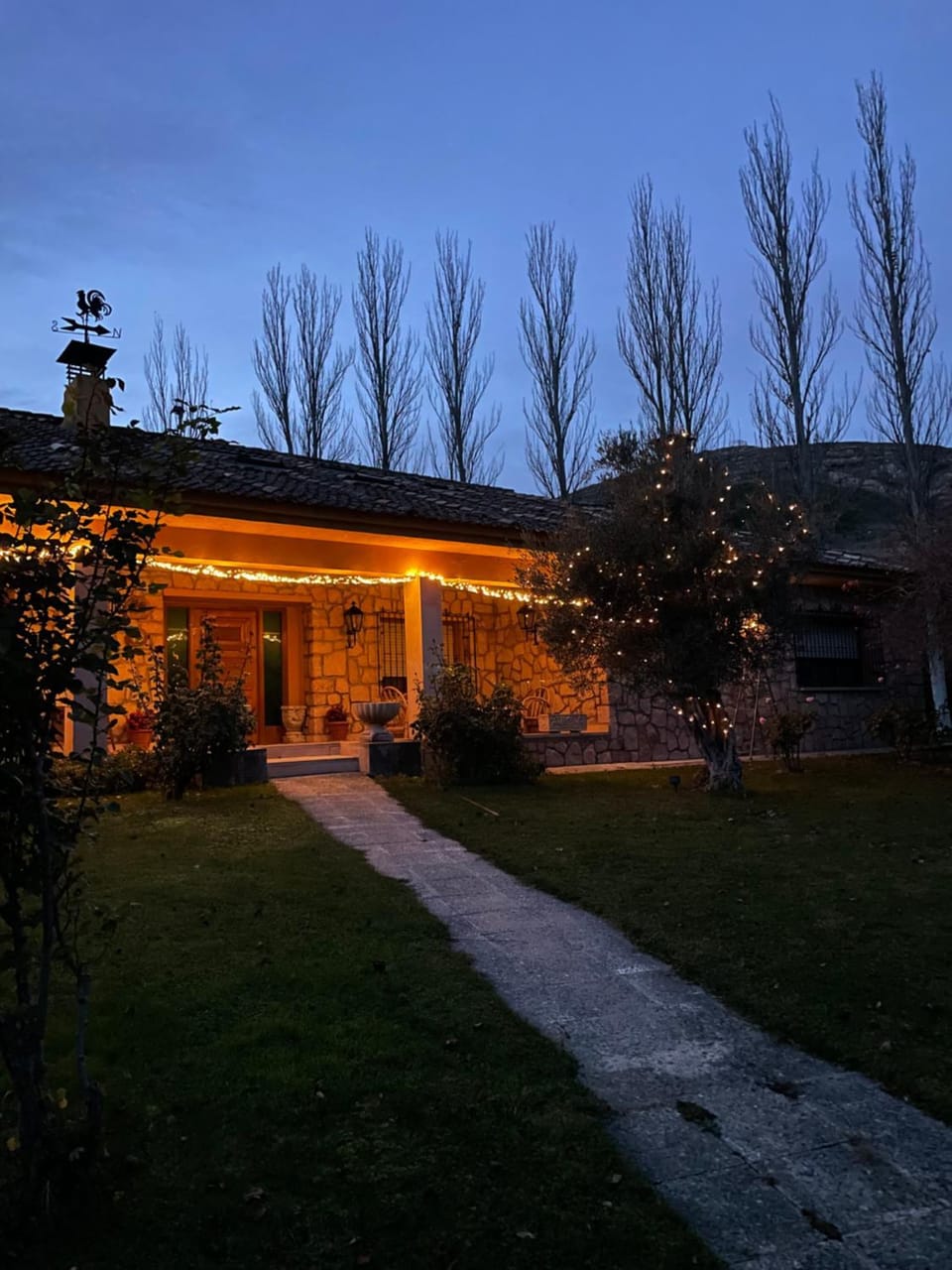 Property building, Night, Garden, Garden view