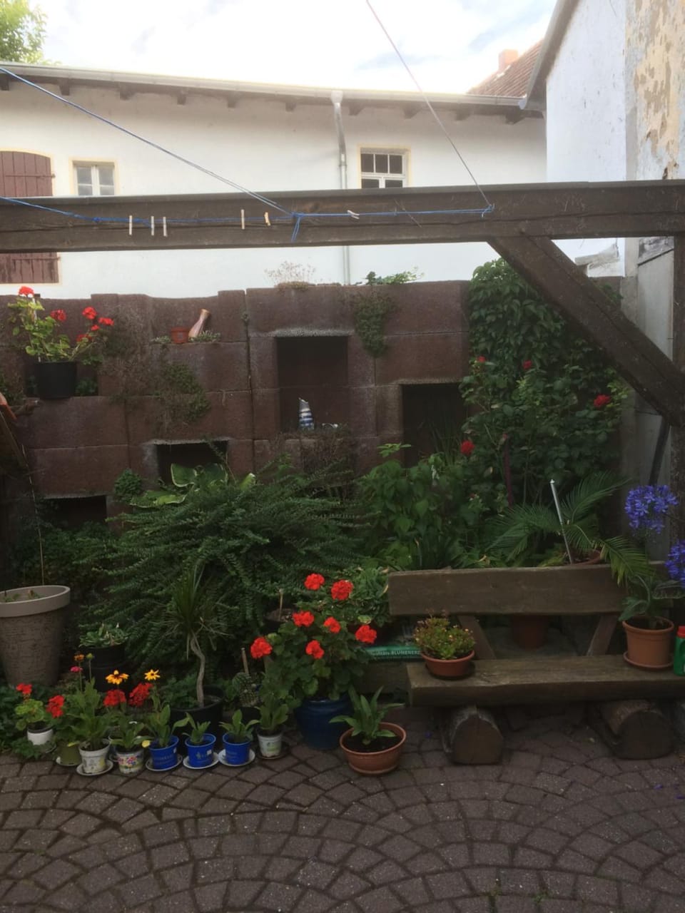 Spring, Garden view