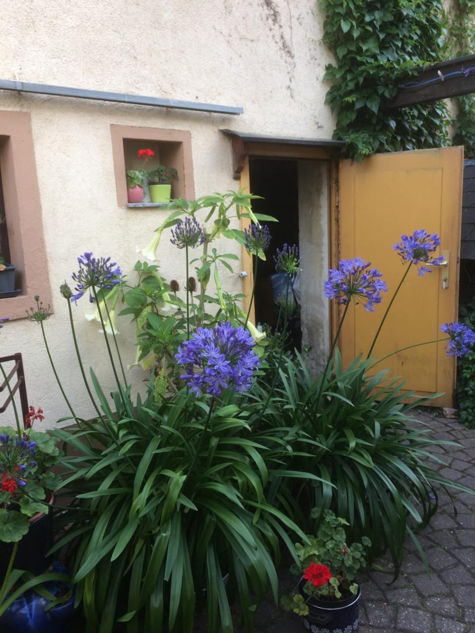 Spring, Day, Garden view