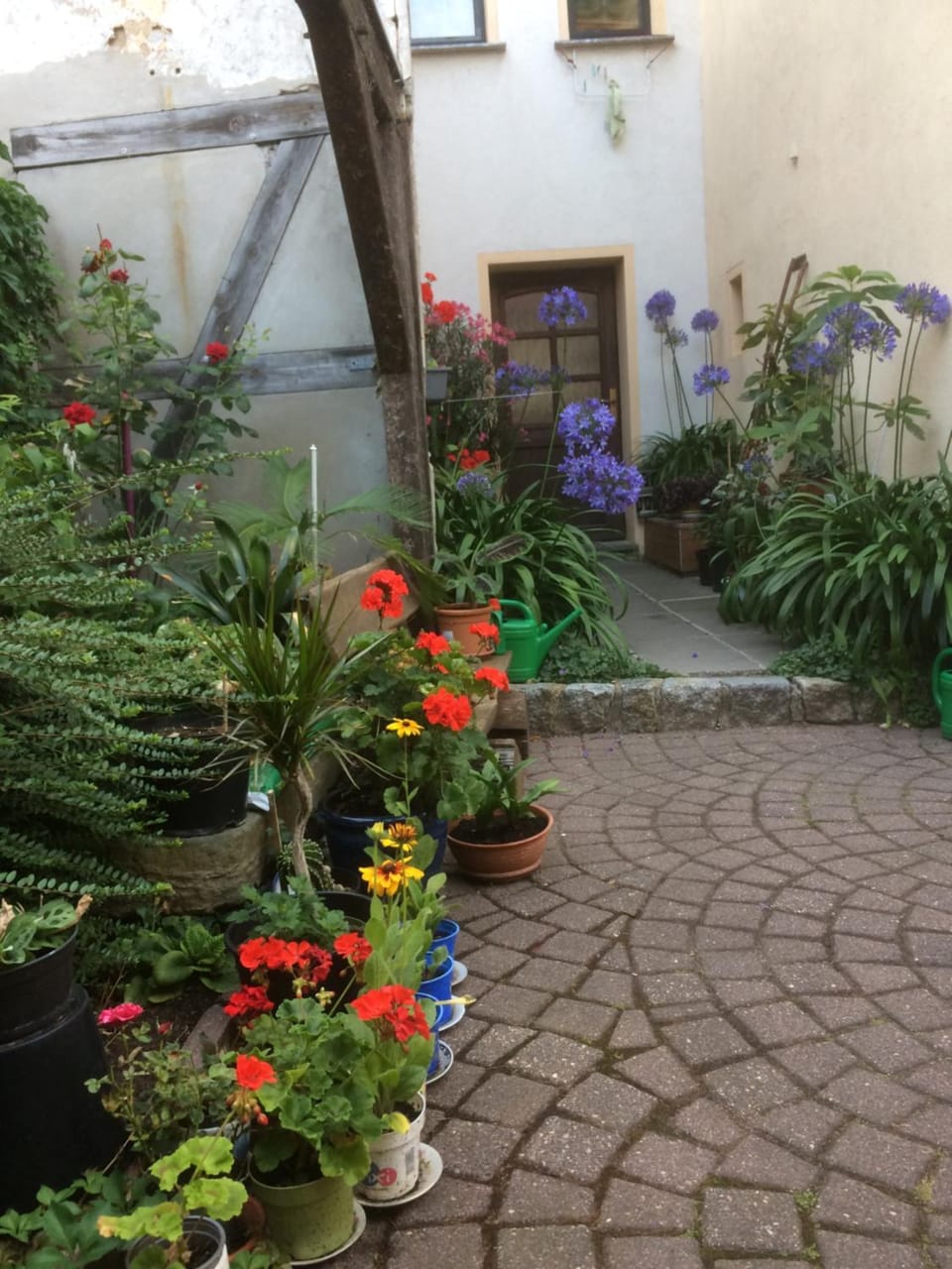 Spring, Day, Garden