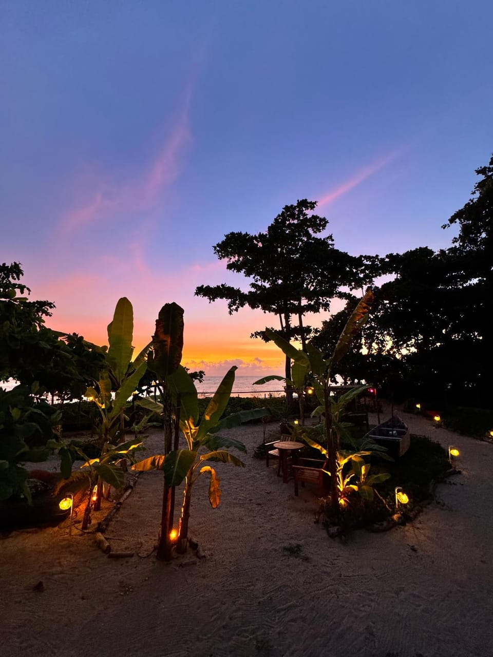 Garden, Sunrise