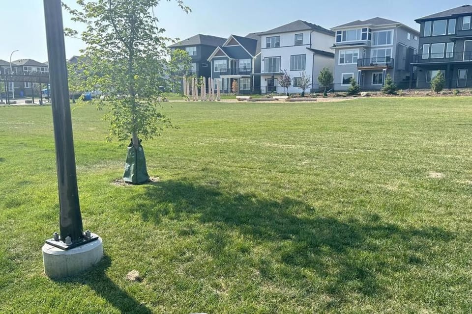 The Cozy Nest Apartment in Calgary