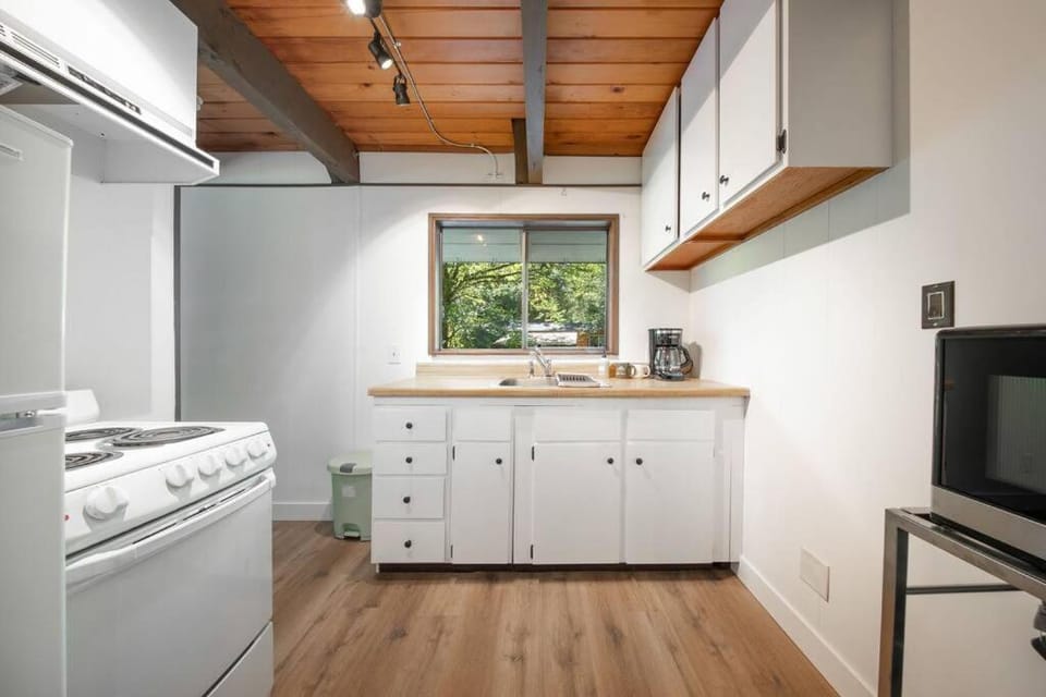 Kitchen or kitchenette, oven, stove