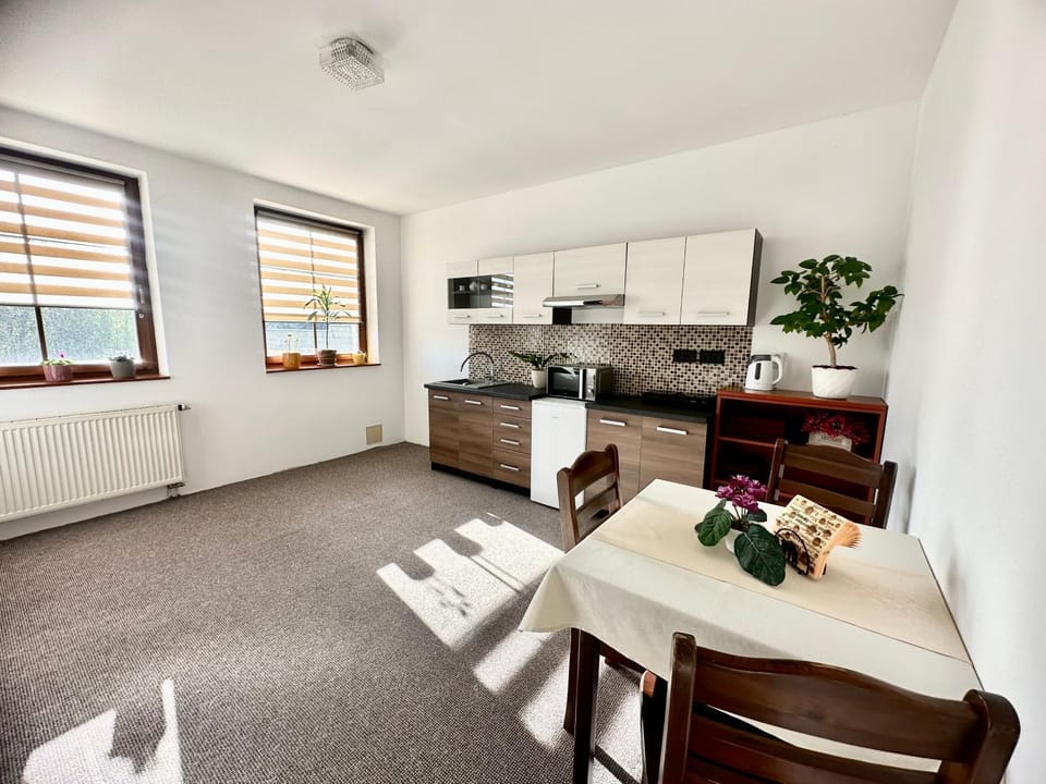 Kitchen or kitchenette, kitchen