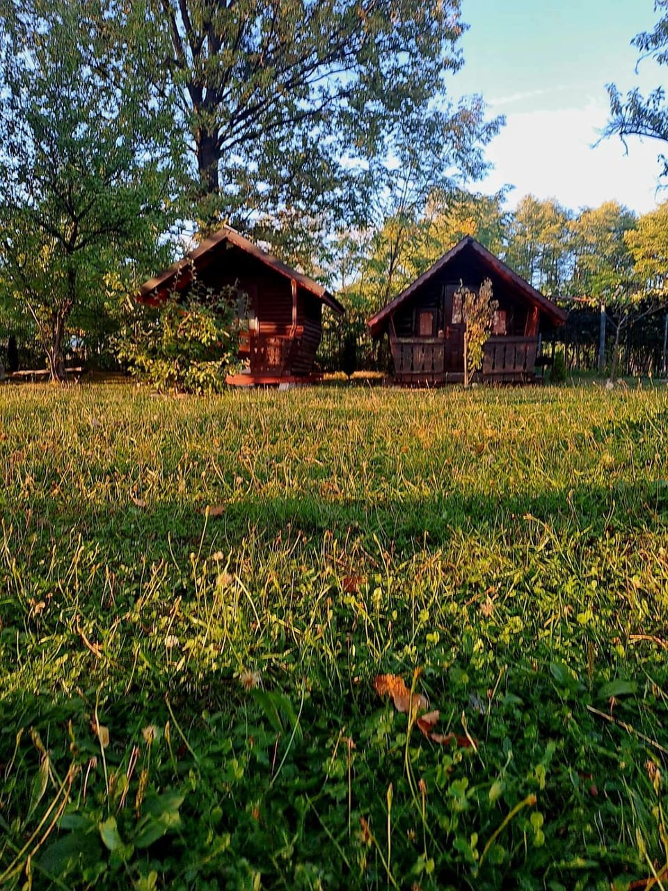 Pensiunea Casa Noastra Bed and Breakfast in Romania