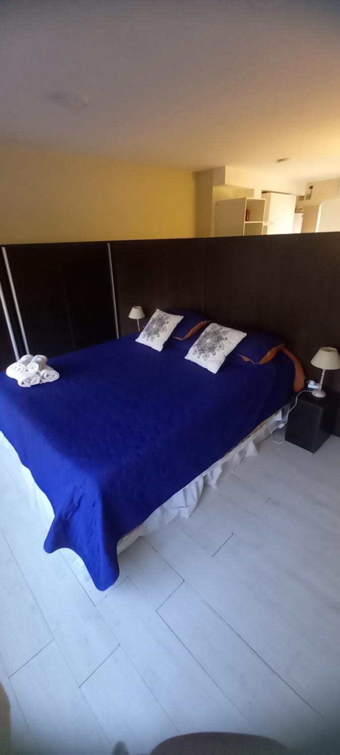 Confortable y Amplio loft Apartment in Mendoza