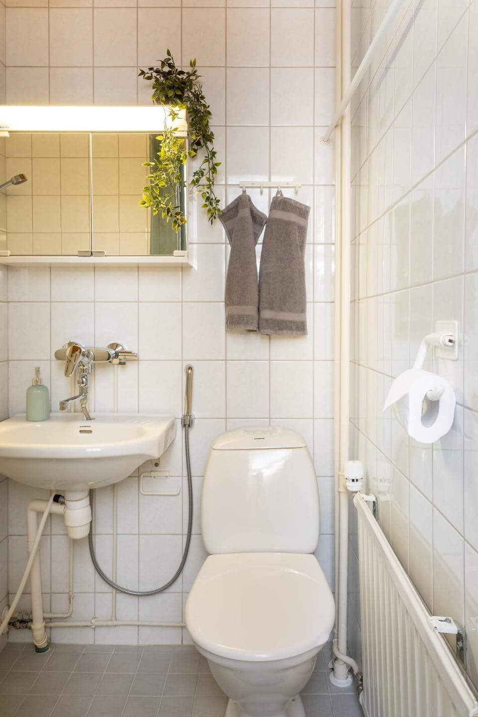 Toilet, Bathroom, towels