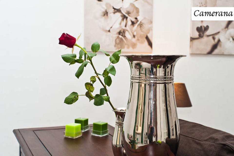 Camerana Apartment in Turin
