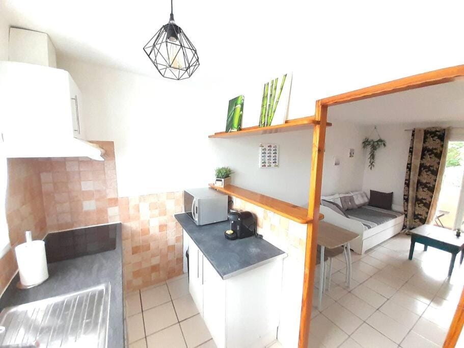 Le Cocouning Apartment in Occitanie