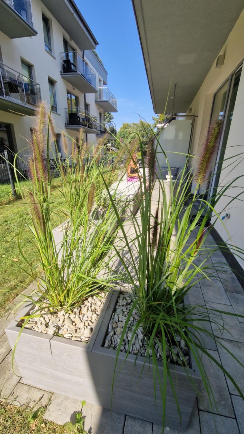 Garden, Balcony/Terrace
