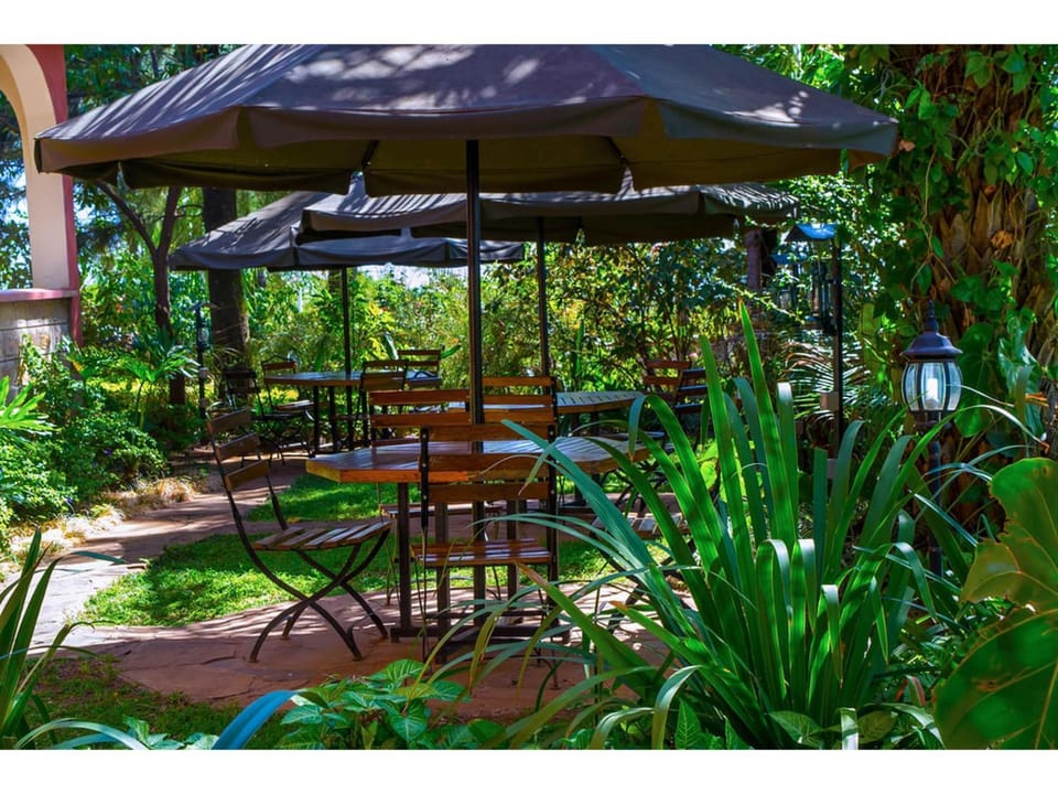 Patio, Day, Garden