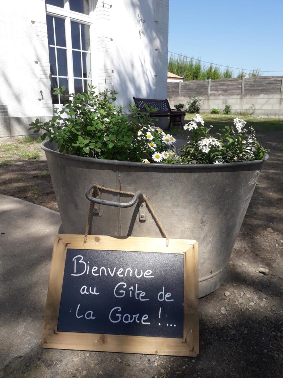 Garden