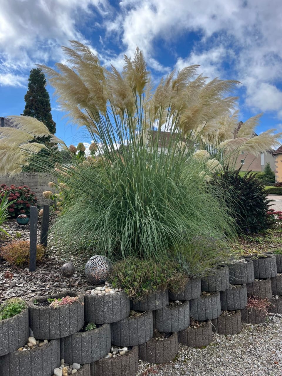 Les pampas Apartment in Rhineland-Palatinate