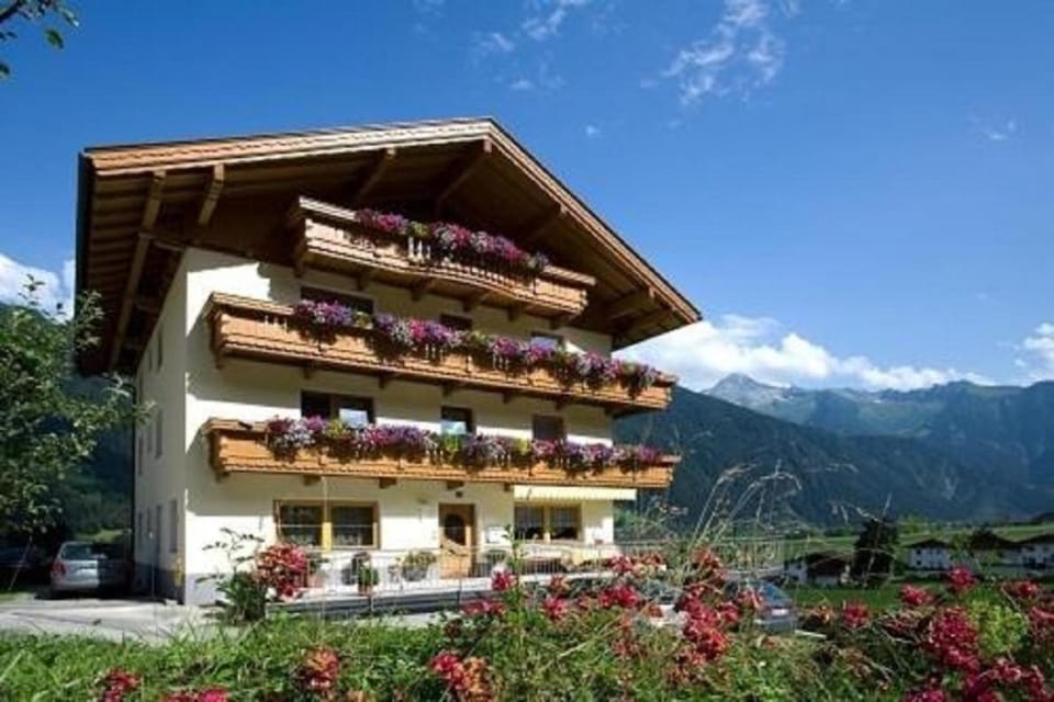 Property building, Facade/entrance, Summer