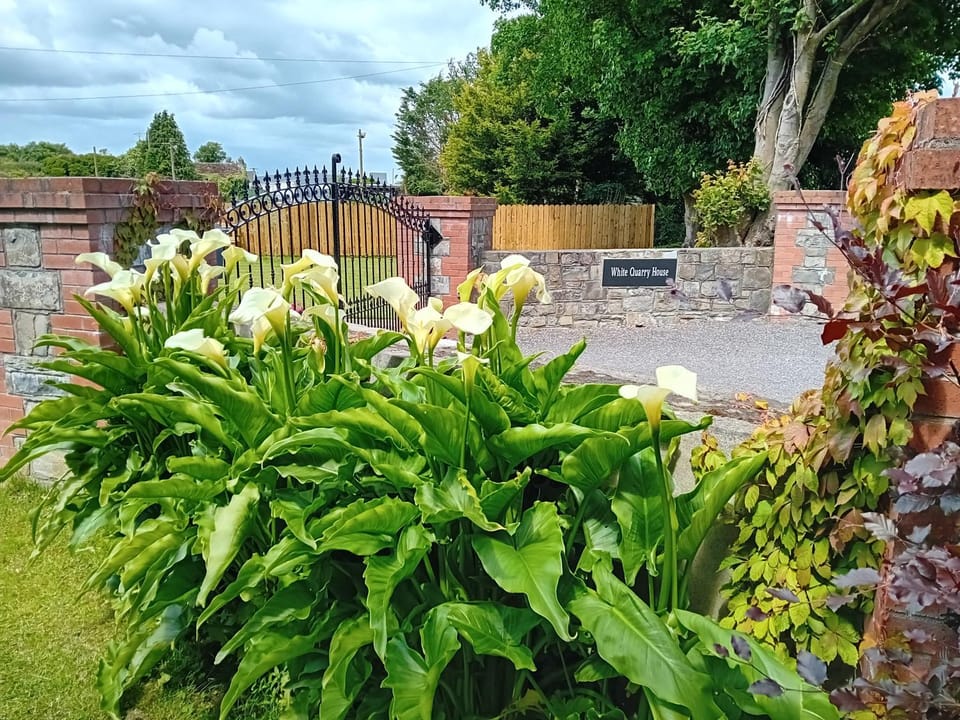 White Quarry Hse Quarry Road Country House in Meath, Co. Meath, Ireland