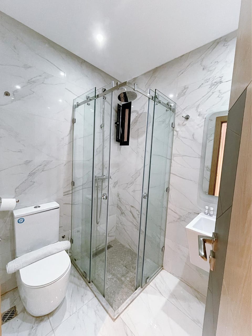 Shower, Toilet, towels