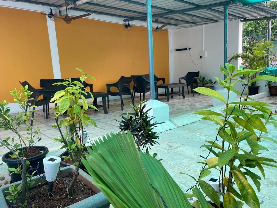 Garden, Balcony/Terrace