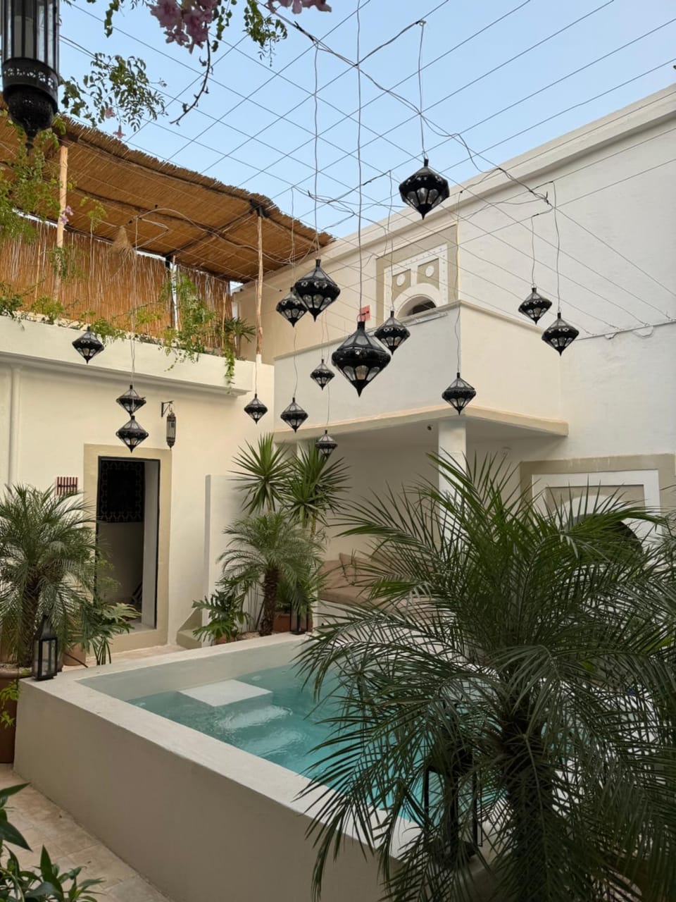Day, Pool view, Swimming pool