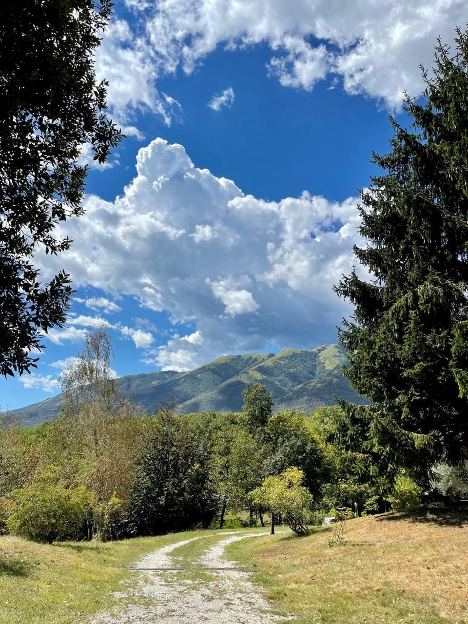 Mountain view