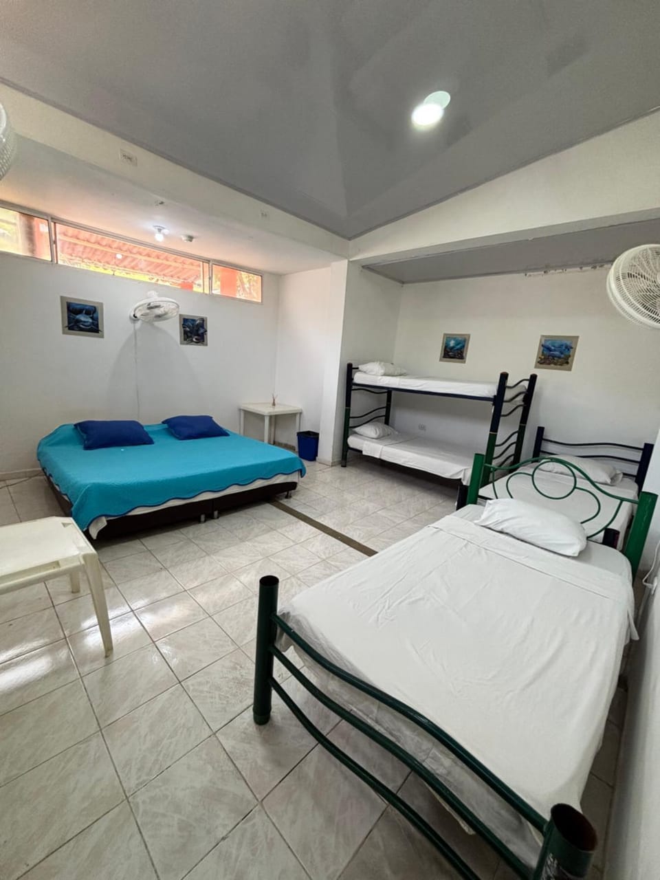 Bed, Photo of the whole room, bunk bed