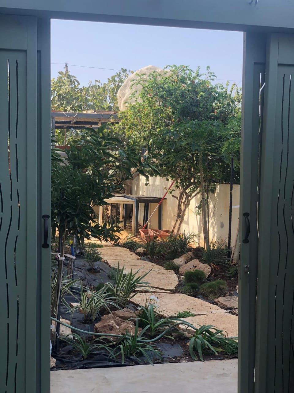 Garden, Garden, Garden view