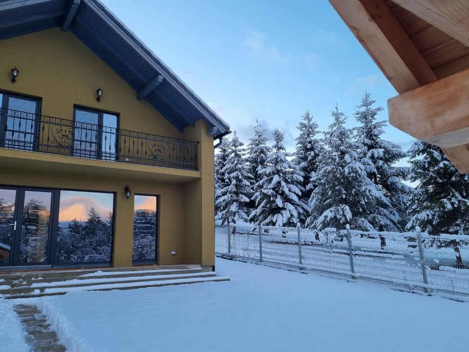 Vila Lac House in Brașov County