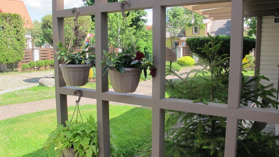 Smilčių namelis House in Palanga