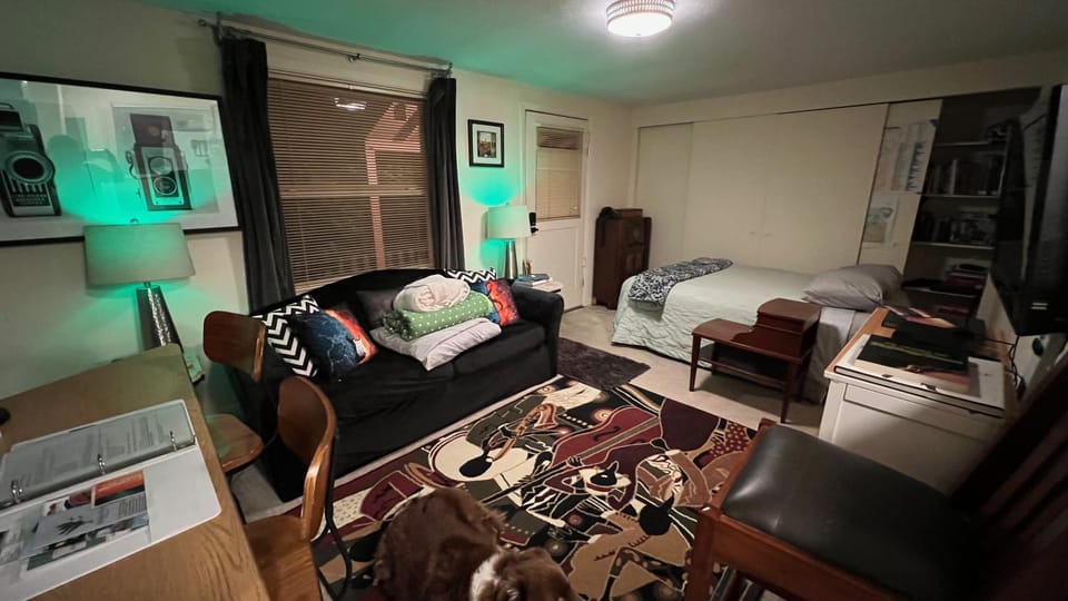 Bed, Living room, Photo of the whole room