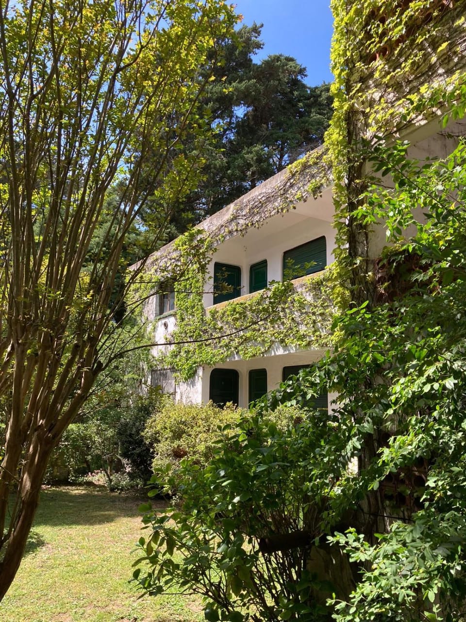 Albatros Apartment in Pinamar