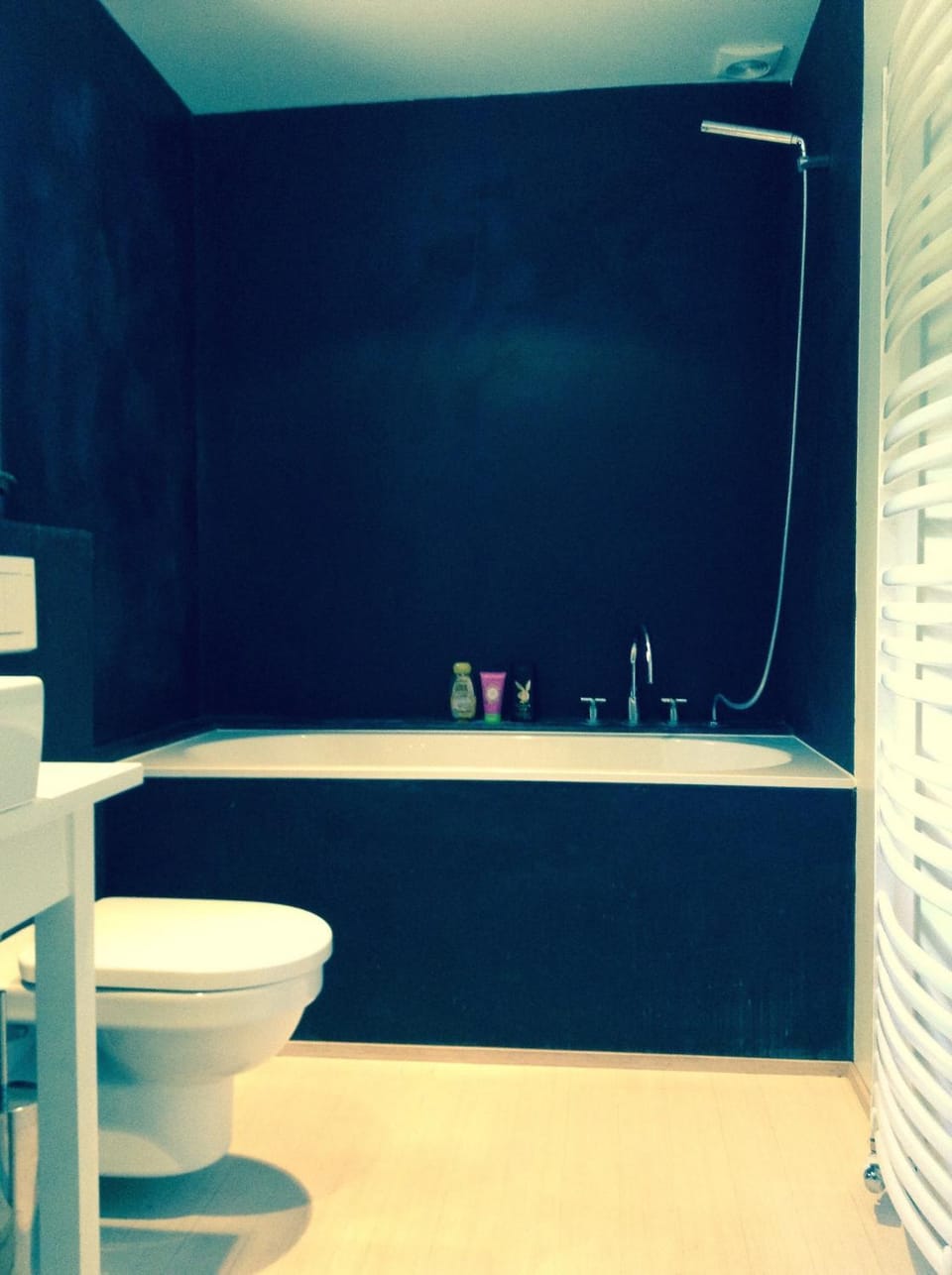 Manoir au Bois Vacation rental in Wallonia, Belgium