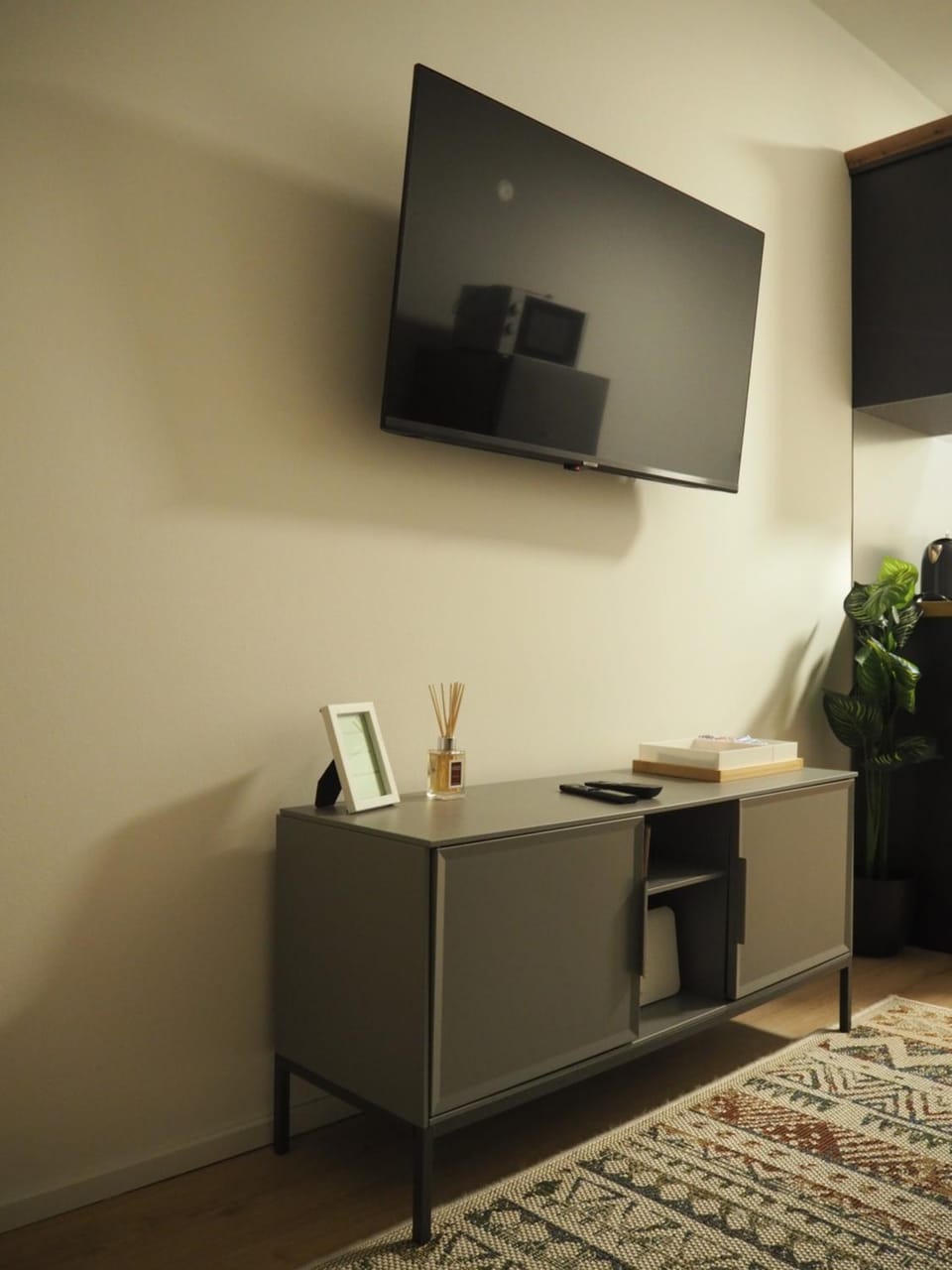 TV and multimedia