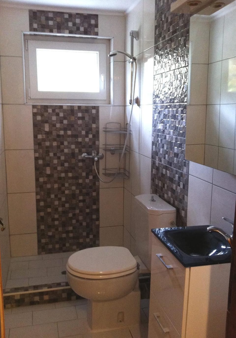 Shower, Toilet