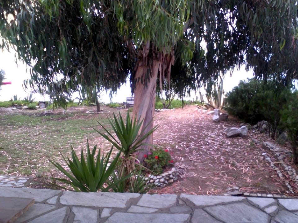 Day, Summer, View (from property/room)