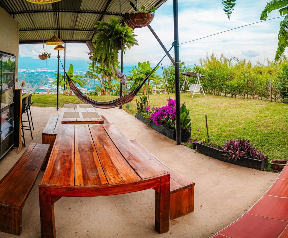 Day, Natural landscape, Garden, Dining area, Garden view