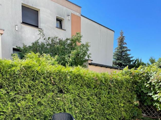 Garden, Garden view