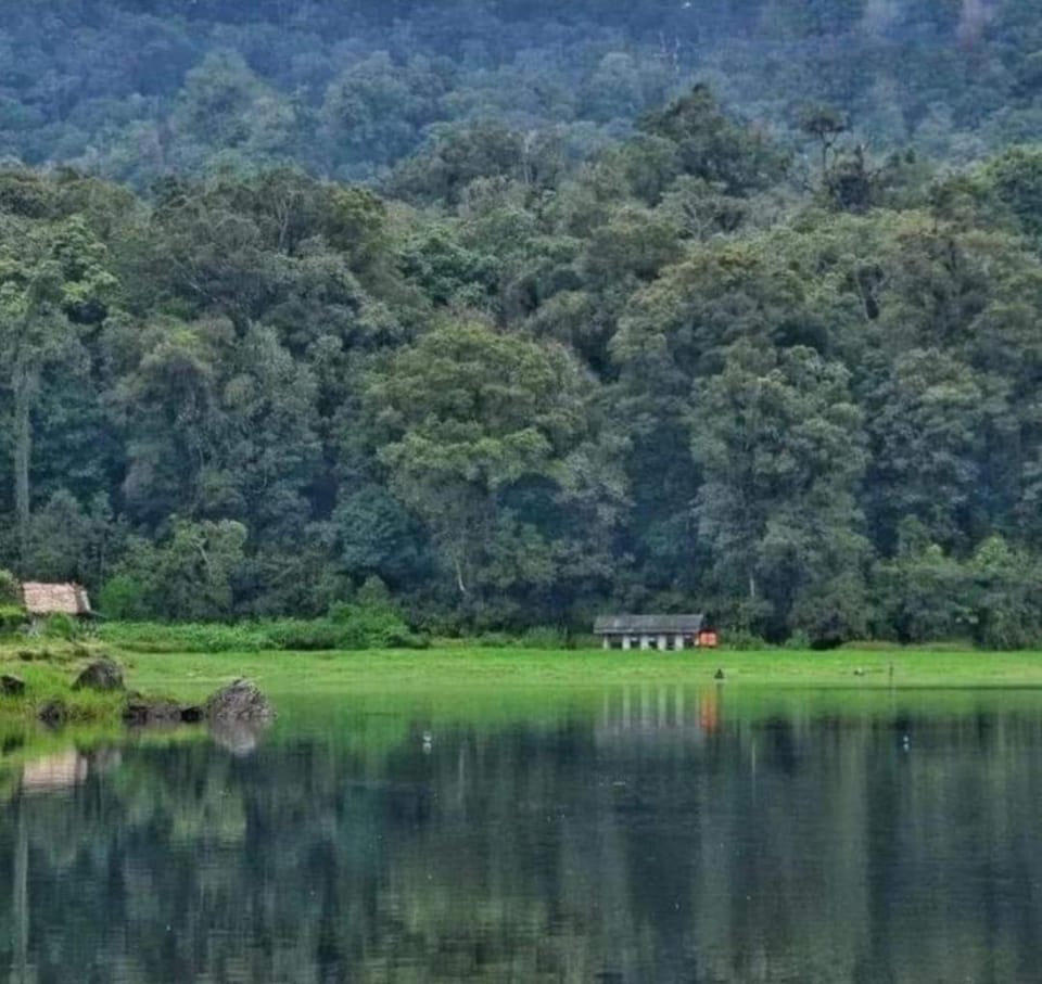 Lake view
