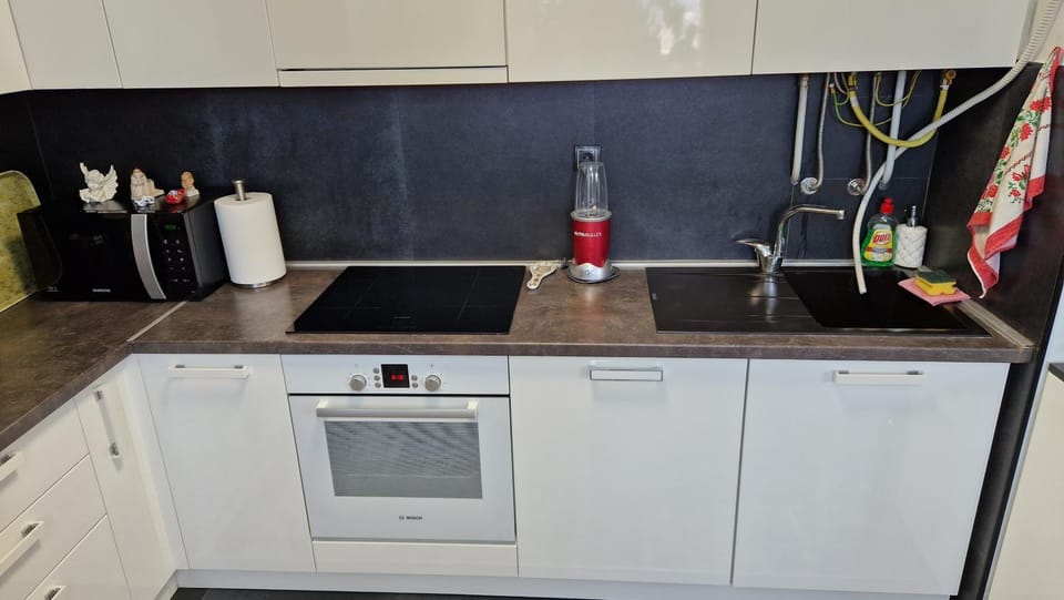 Kitchen or kitchenette, dishwasher, minibar, pet friendly