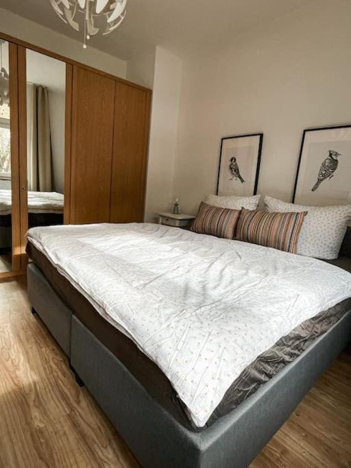 Photo of the whole room, Bedroom, wardrobe