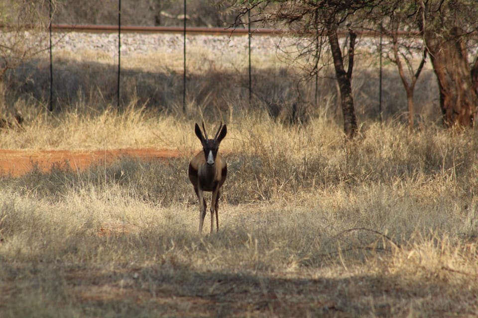 Rustic Stone Lodge Nature lodge in South Africa