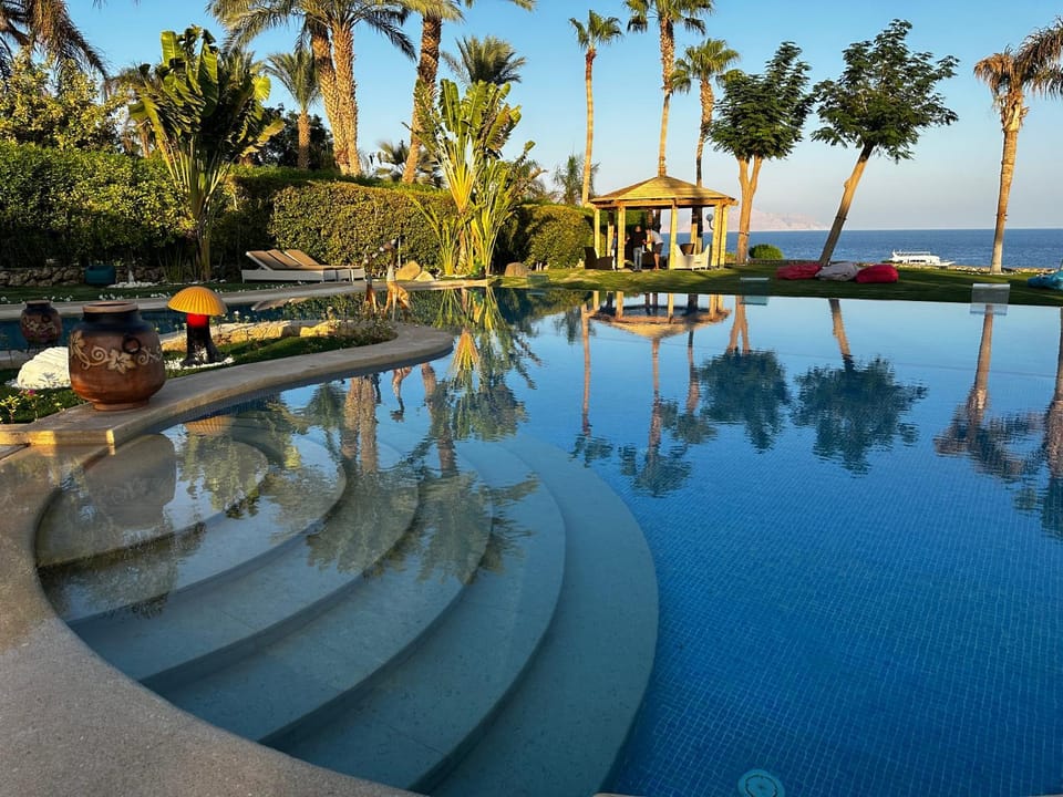 Natural landscape, Garden, Swimming pool