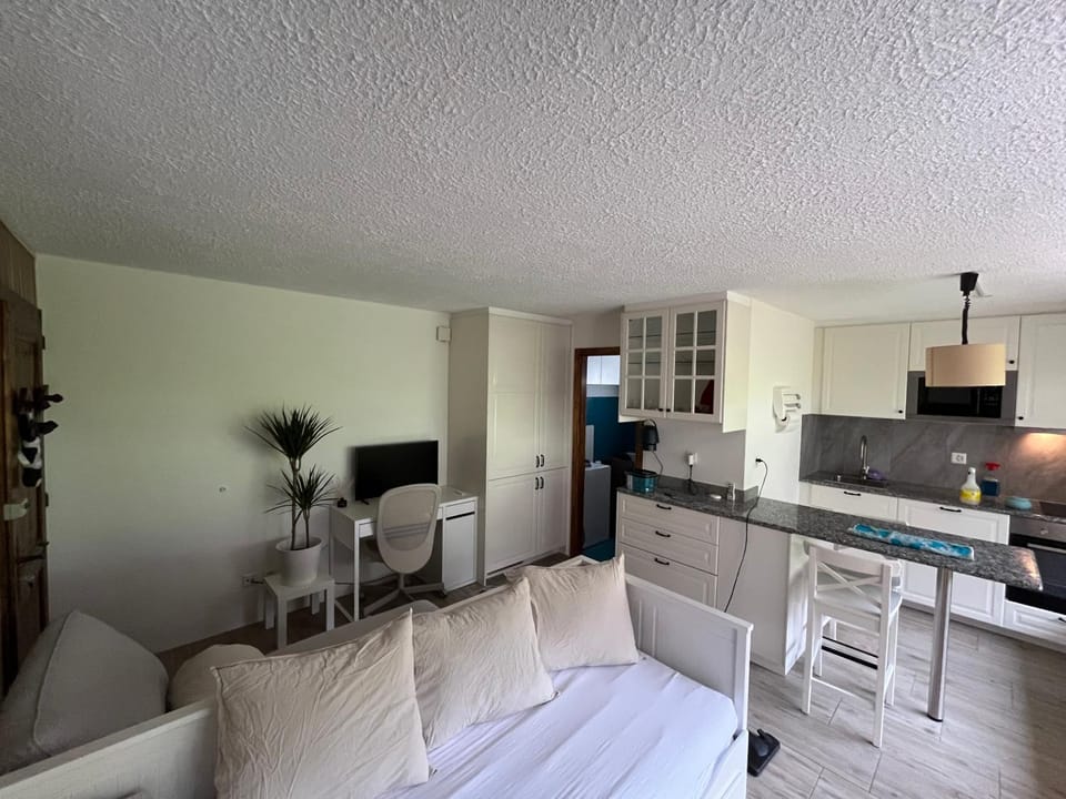 TV and multimedia, Kitchen or kitchenette, Living room, Seating area, Dining area, minibar, pet friendly, stove
