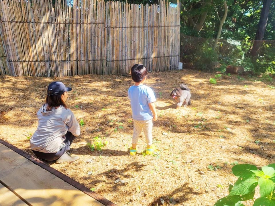 Couscous Glamping Manazuru - Ocean View BBQ Stay near Hakone Luxury tent in Kanagawa Prefecture