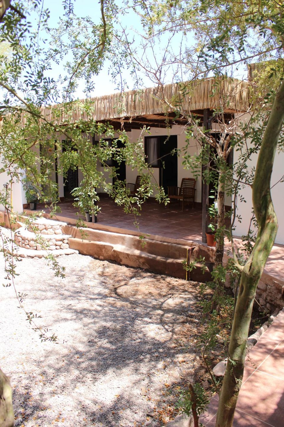 Patio, Garden, Balcony/Terrace